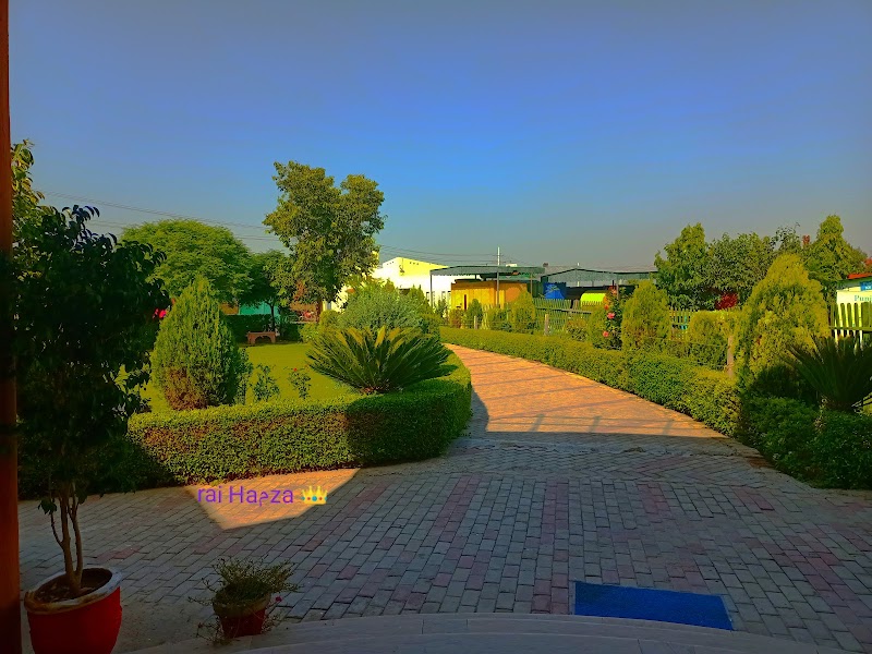 Punjab College Okara in Okara, Punjab