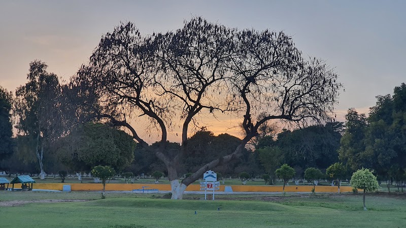 IBEX Golf Course in Sargodha, Punjab