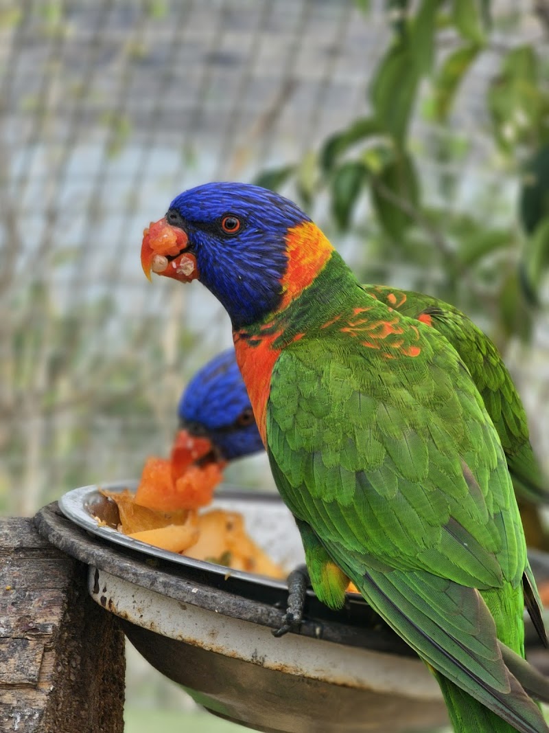 Sardar Patel Zoological Park, Ektanagar in Ektanagar, GJ