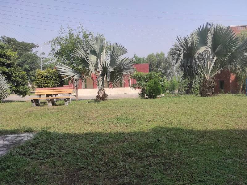 University of the Punjab, Jhelum Campus in Jhelum, Punjab