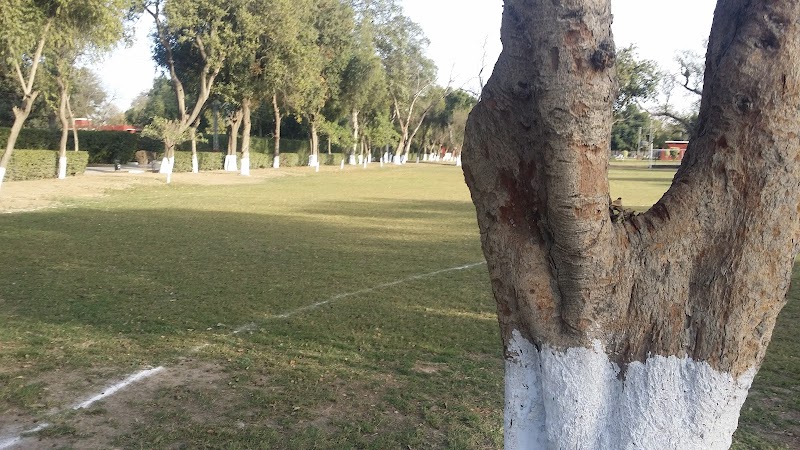 PAF College in Sargodha, Punjab
