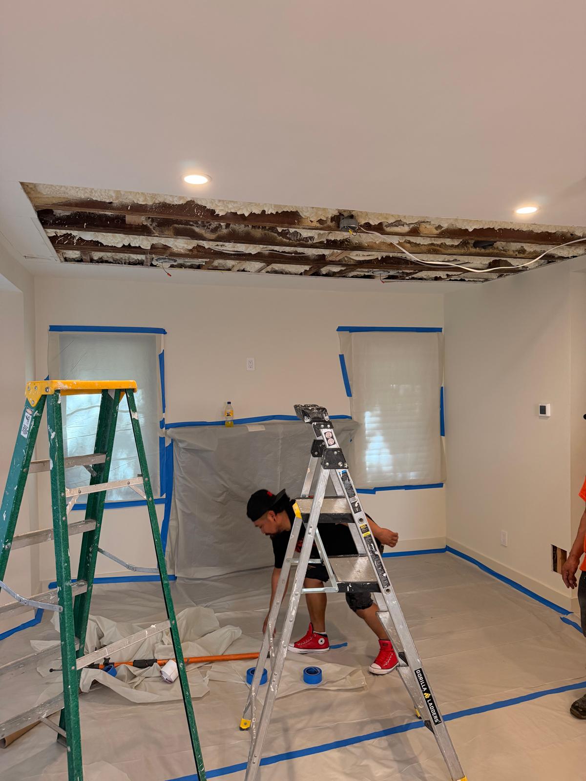 Long Island Best Mold Removal