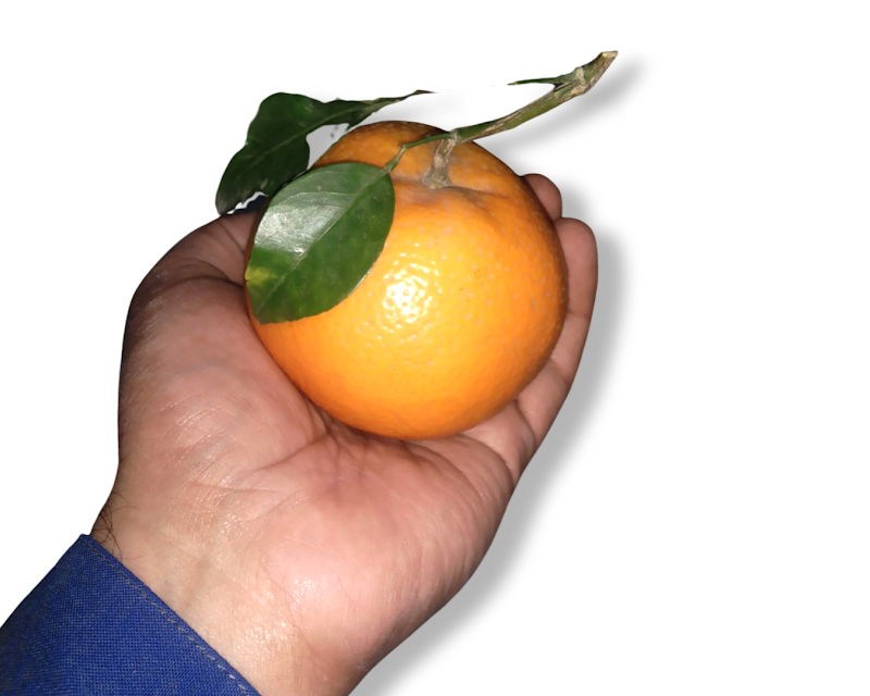 Kanhati Gardens کنہٹی باغ in Kenhatti, Punjab