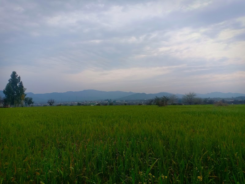 District Agricultural Department in Attock, Punjab