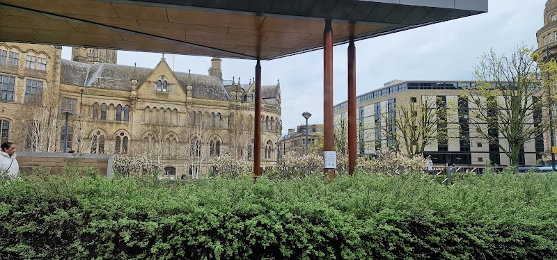 Study Consultants Global in Gujrat, Punjab