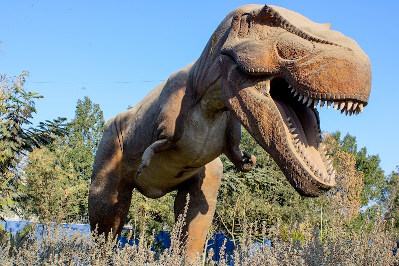 Safari Park in Karachi, Sindh