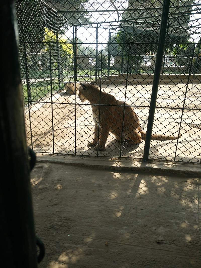 Safari Villas Park in Lahore, Punjab