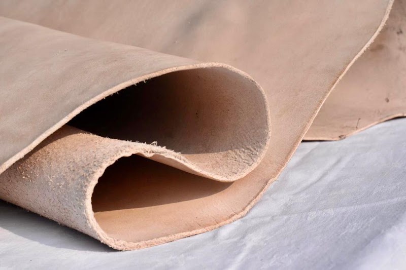 Akram Tannery in Kasur, Punjab