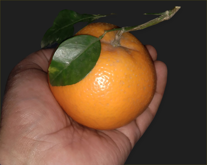 Kanhati Gardens کنہٹی باغ in Kenhatti, Punjab