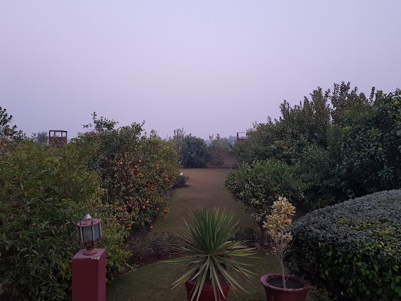 Arabian Lodges Hotel in بہاولپور, پنجاب