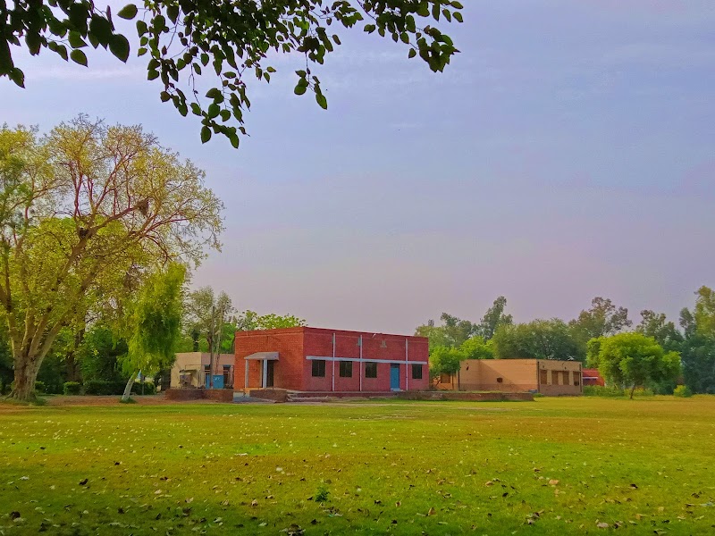 Govt Graduate College Adhiwal Jhang in Jhang, Punjab