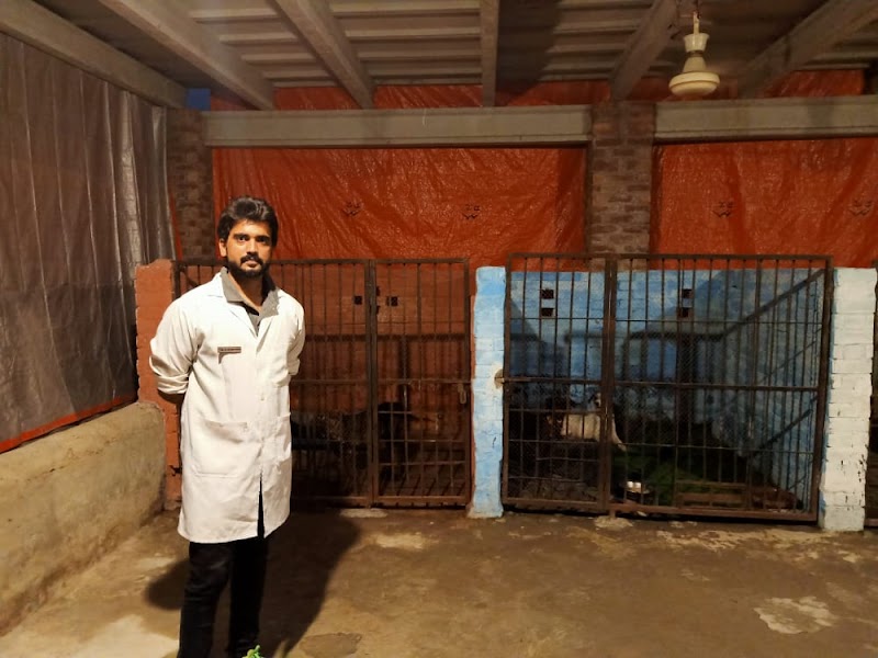 PET-VET ANIMAL CARE HOSPITAL in Lahore, Punjab