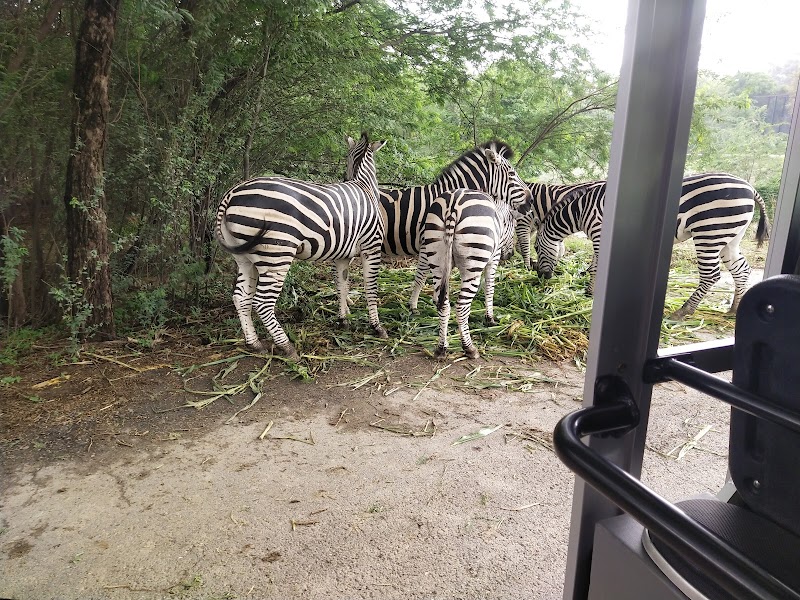 Lahore Wildlife Park in Lahore, Punjab