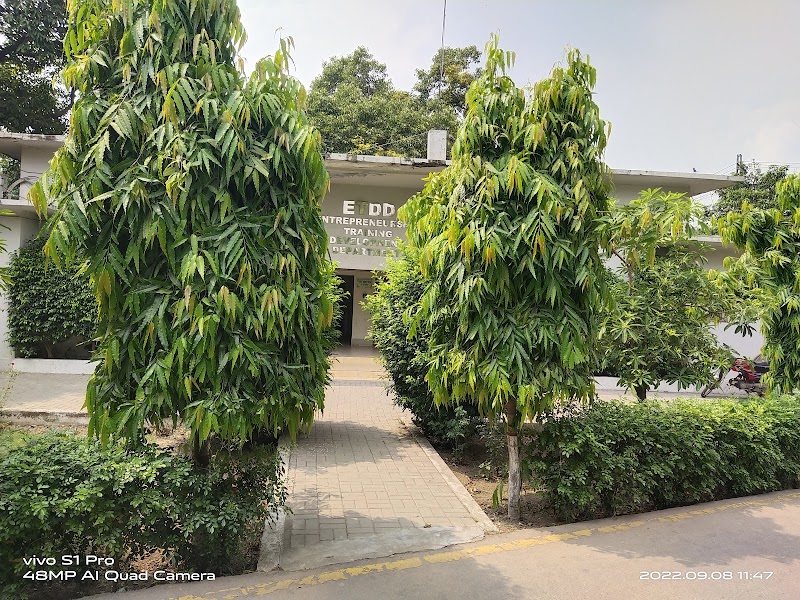 Pakistan Industrial Technical Assistance Center in Lahore, Punjab