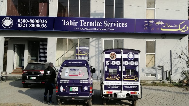 Tahir Termite Services in Lahore, Punjab