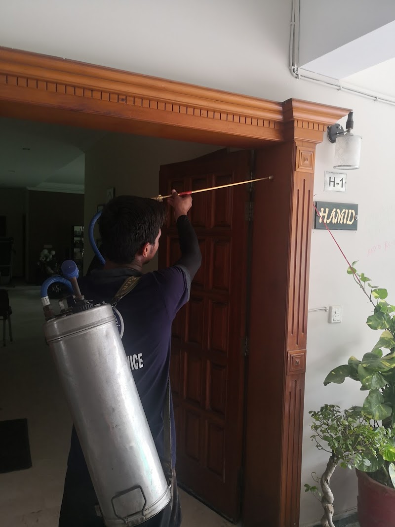 Tahir Termite Services in Lahore, Punjab