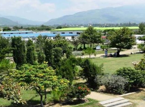 Abbottabad University Of Science & Technology (AUST) in Abottabad, Khyber Pakhtunkhwa