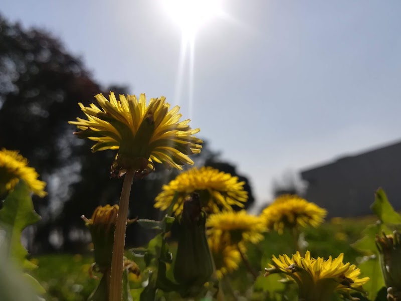 Geoscience Advanced Research Laboratories Islamabad in Islamabad, Islamabad Capital Territory