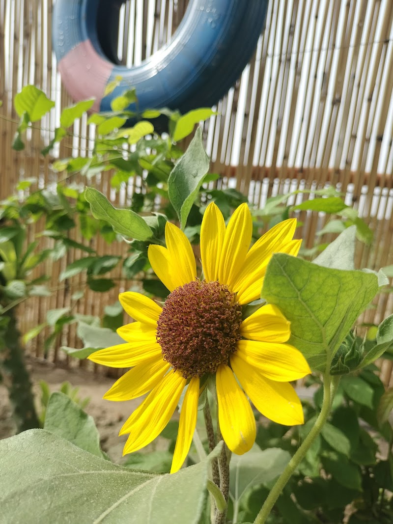TEA VALLEY ☕ in Khanewal, Punjab