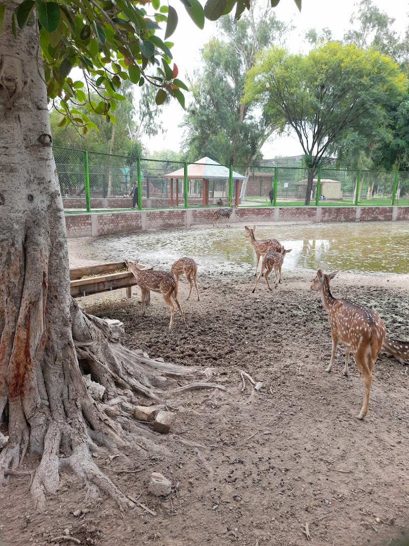 Zoo, Vehari in Vehari, Punjab