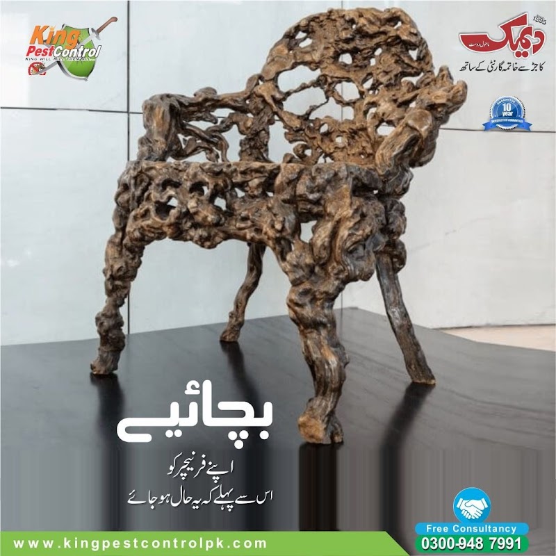 King Pest Control | Termite Treatment Services | Termite Control Lahore | Pest Control in Lahore in Lahore, Punjab