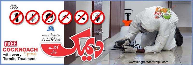 King Pest Control | Termite Treatment Services | Termite Control Lahore | Pest Control in Lahore in Lahore, Punjab