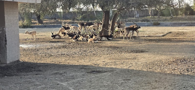 SafariPark in Lahore, Punjab