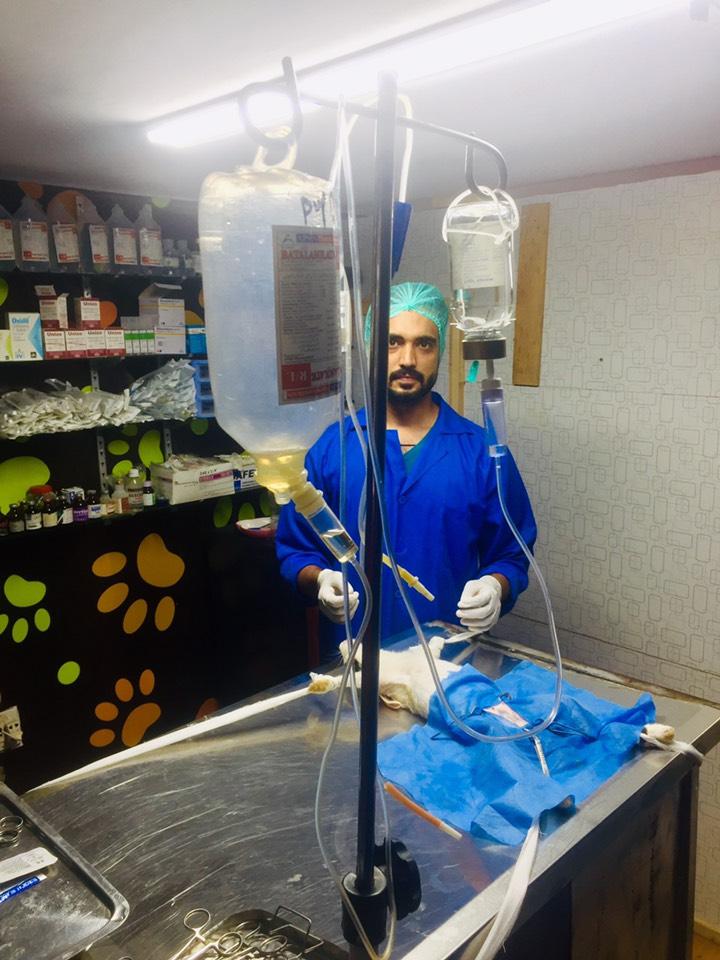 PET-VET ANIMAL CARE HOSPITAL in Lahore, Punjab