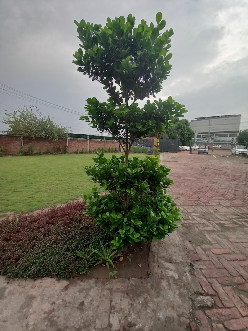 VPL Limited in Lahore, Punjab