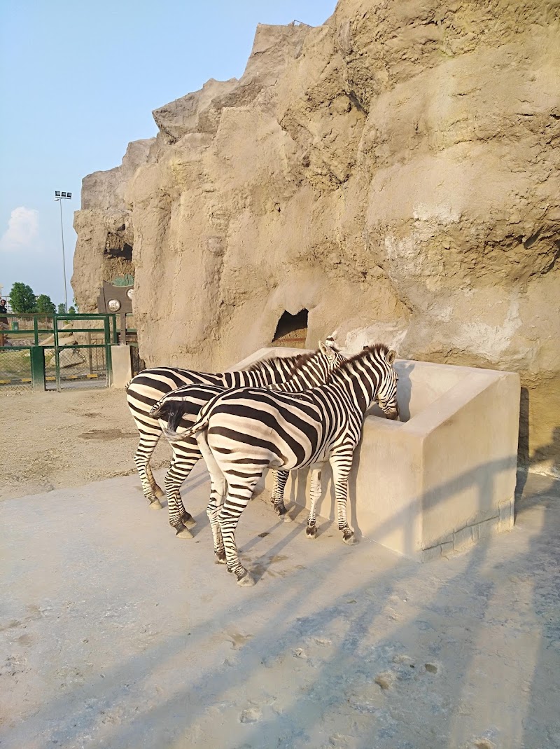 Citi Land Theme Park in Jhelum, Punjab