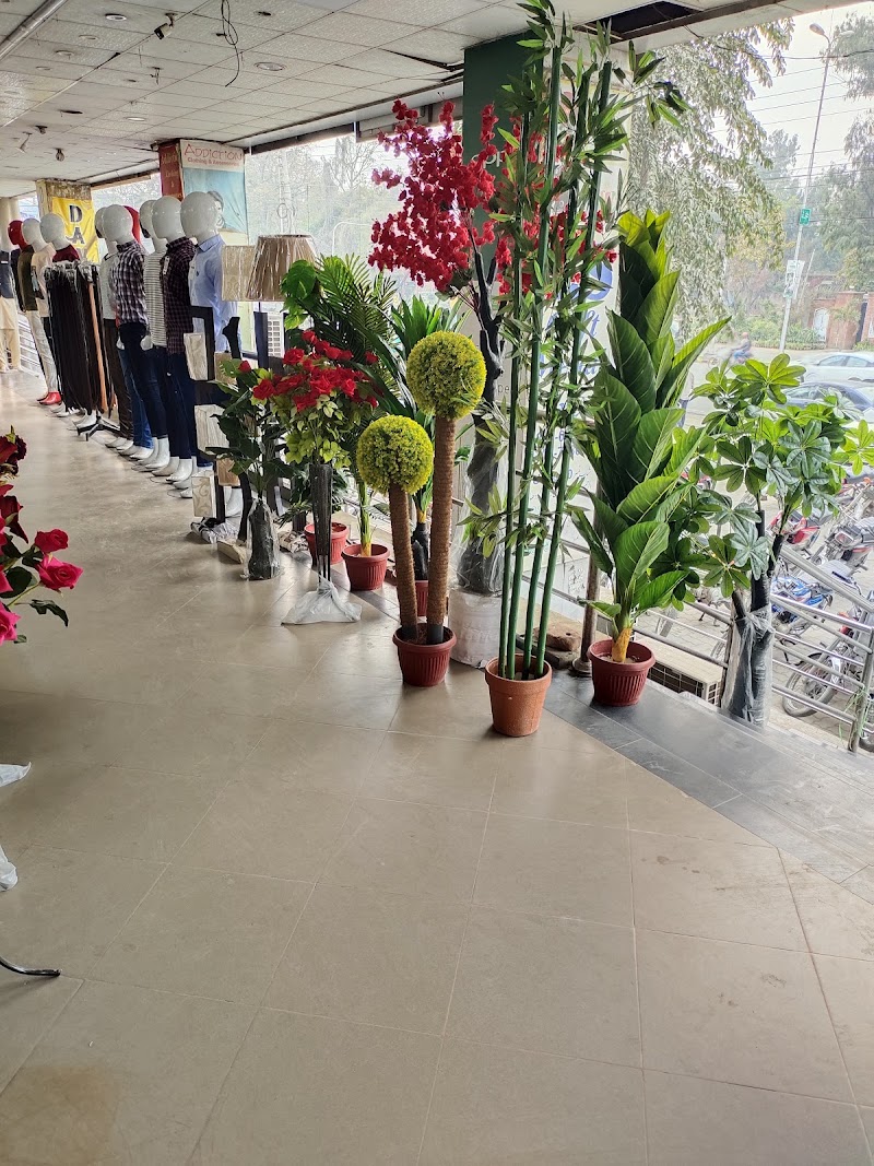 Rehman Trade Centre in Sargodha, Punjab