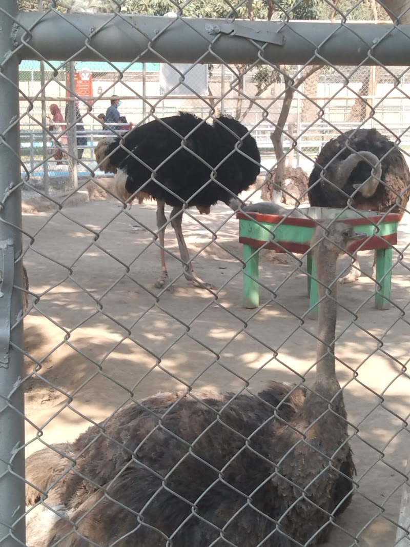 360 ZOO, DHA Multan in Multan, Punjab