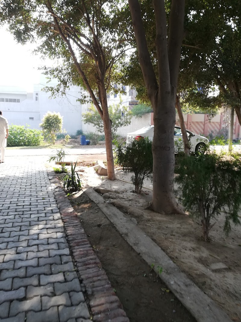 Model Cooperative Housing Society in Okara, Punjab
