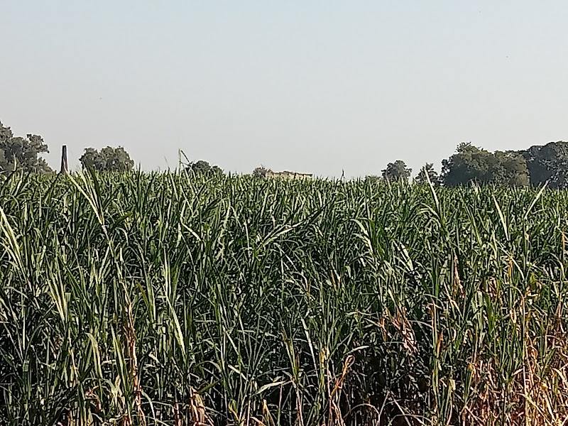 District Bar Association Sialkot in Sialkot, Punjab