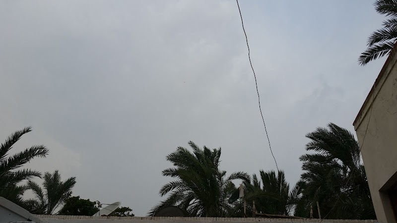 New Bolan Nursery in Dera Ghazi Khan, Punjab