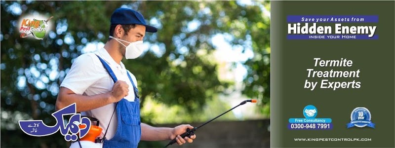 King Pest Control | Termite Treatment Services | Termite Control Lahore | Pest Control in Lahore in Lahore, Punjab