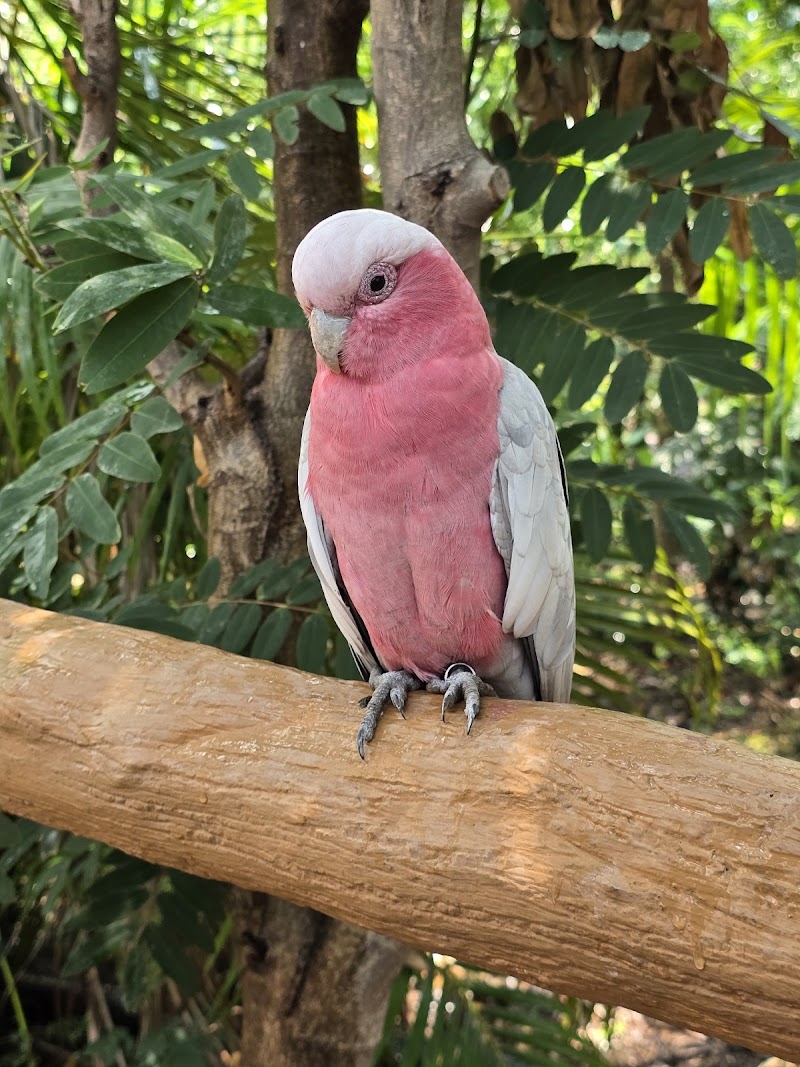 Sardar Patel Zoological Park, Ektanagar in Ektanagar, GJ