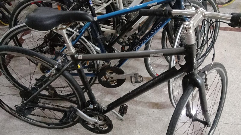 Cycle Mania in Lahore, Punjab