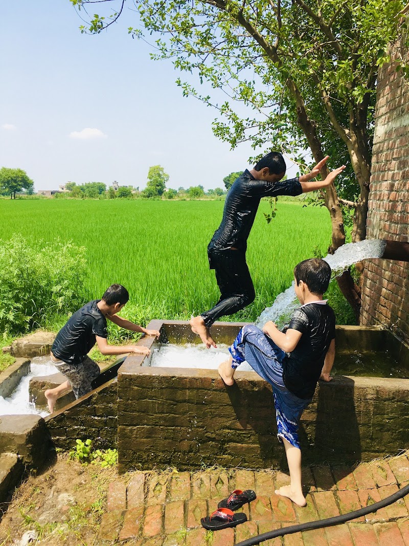 Bharthanwala in Cannal View, Sialkot