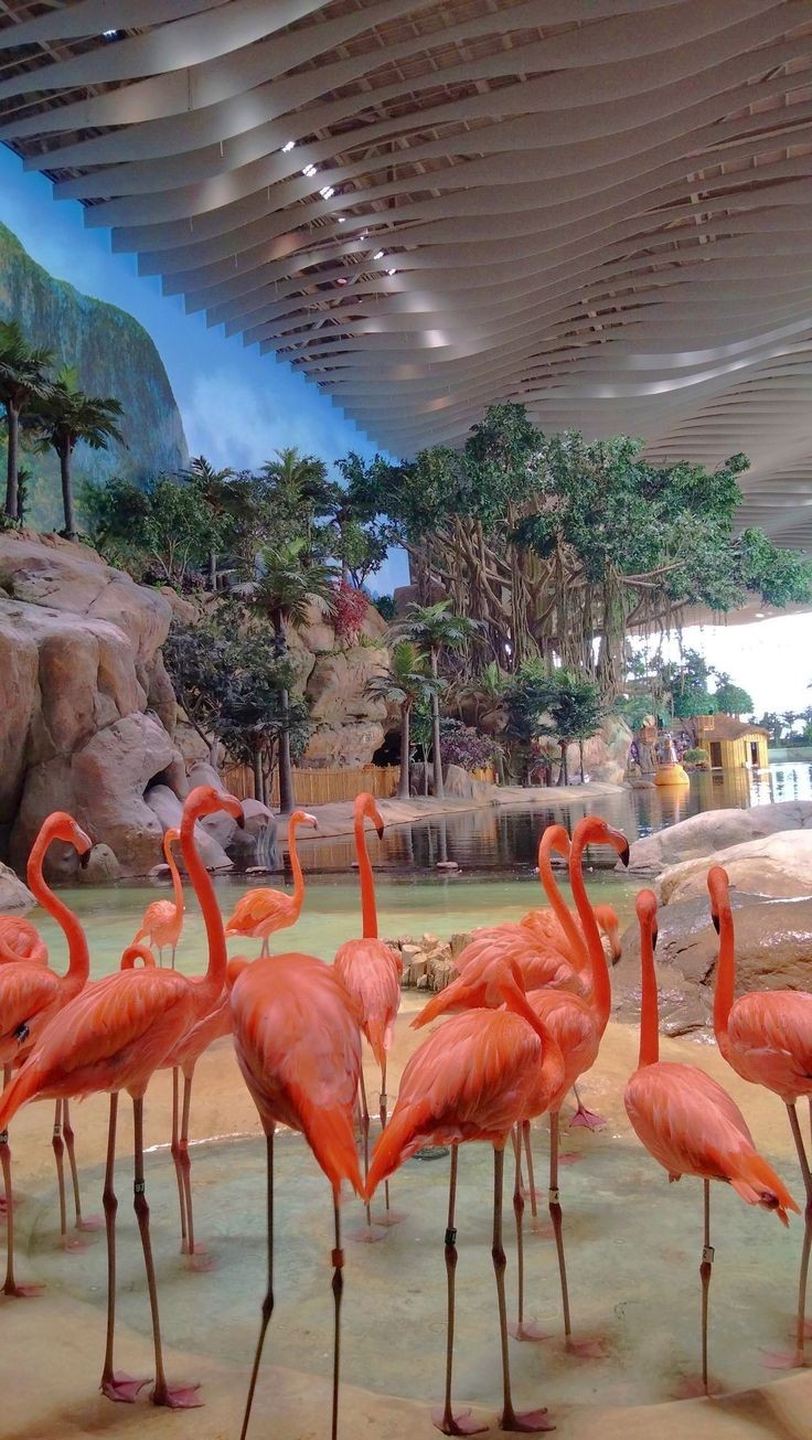 Sea World ( Aquarium & Fish Shop ) in Sialkot, Punjab
