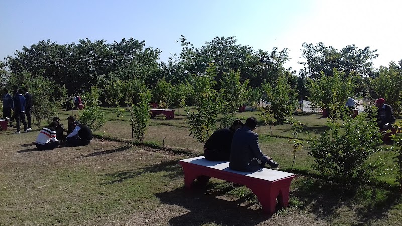 Qila in Sialkot, Punjab