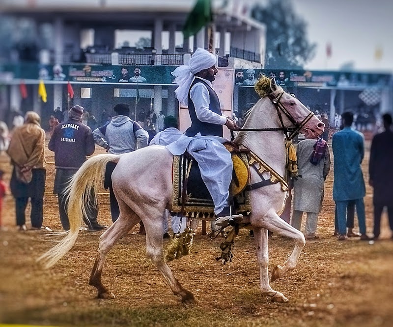Mela Mandi Ground in Sargodha, Punjab