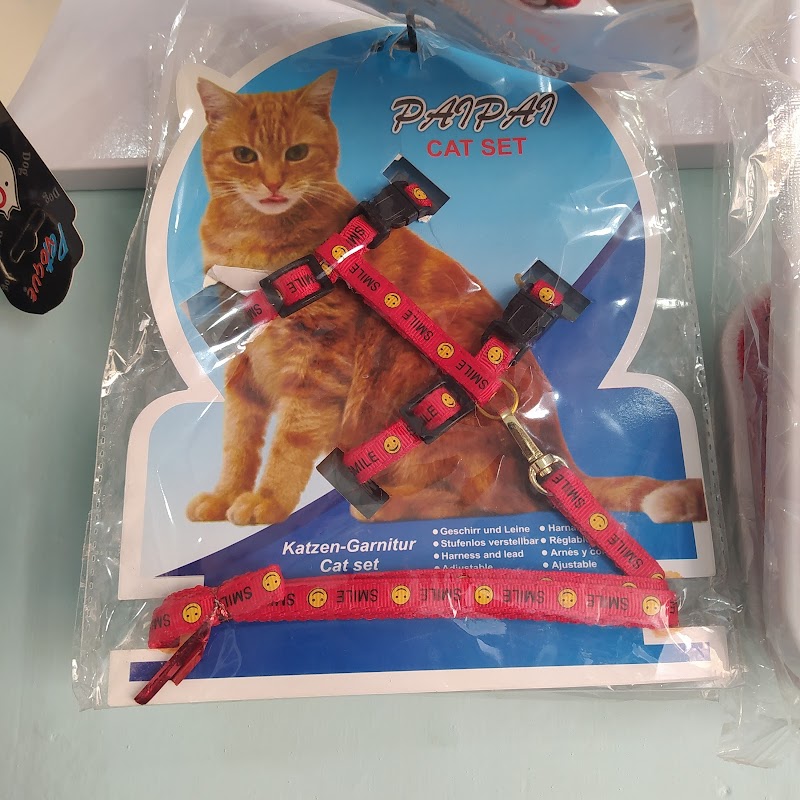 Faisal Veterinary Clinic Mianwali in Mianwali, Punjab