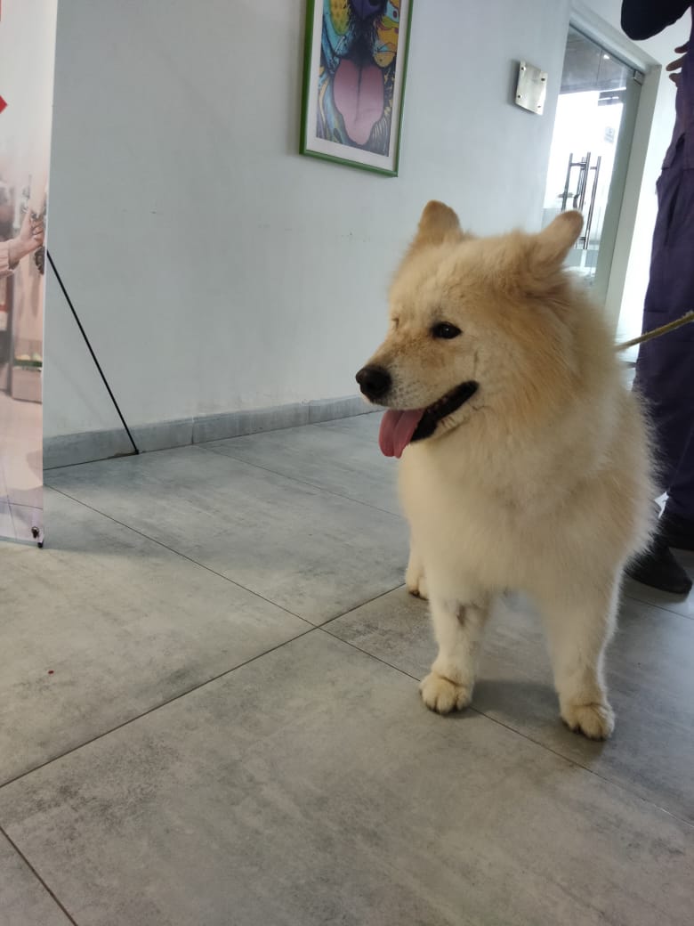 Round Lake Animal Hospital in Lahore, Punjab
