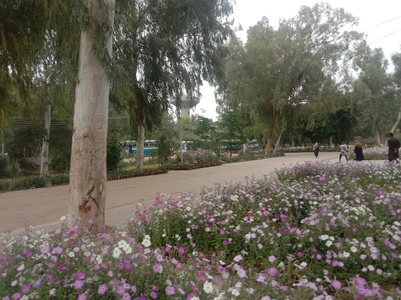 IUB Old Campus BWN in Bahawalnagar, Punjab
