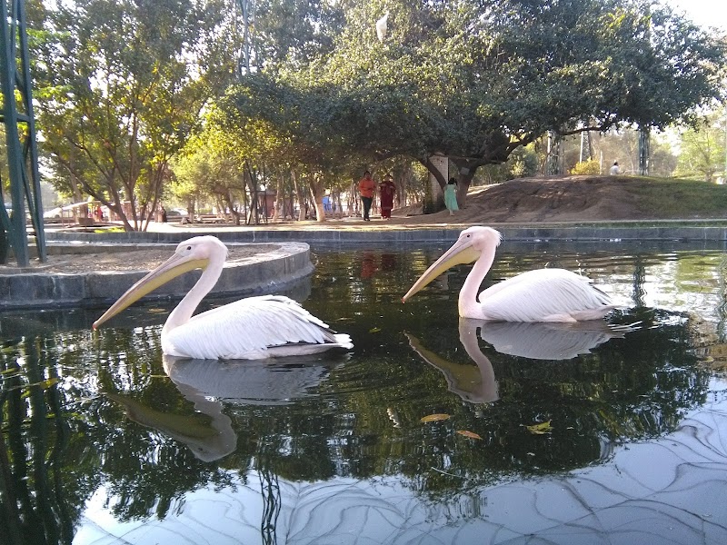 Lahore Wildlife Park in Lahore, Punjab
