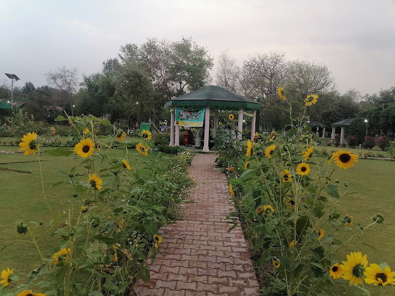Wildlife Park D.I.Khan جنگلی حیات پارک in Dera Ismail Khan, Khyber Pakhtunkhwa