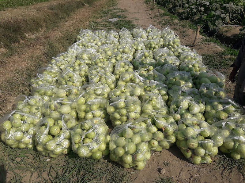IR Farm | Best Online Agriculture Store In Pakistan in Sargodha, Punjab