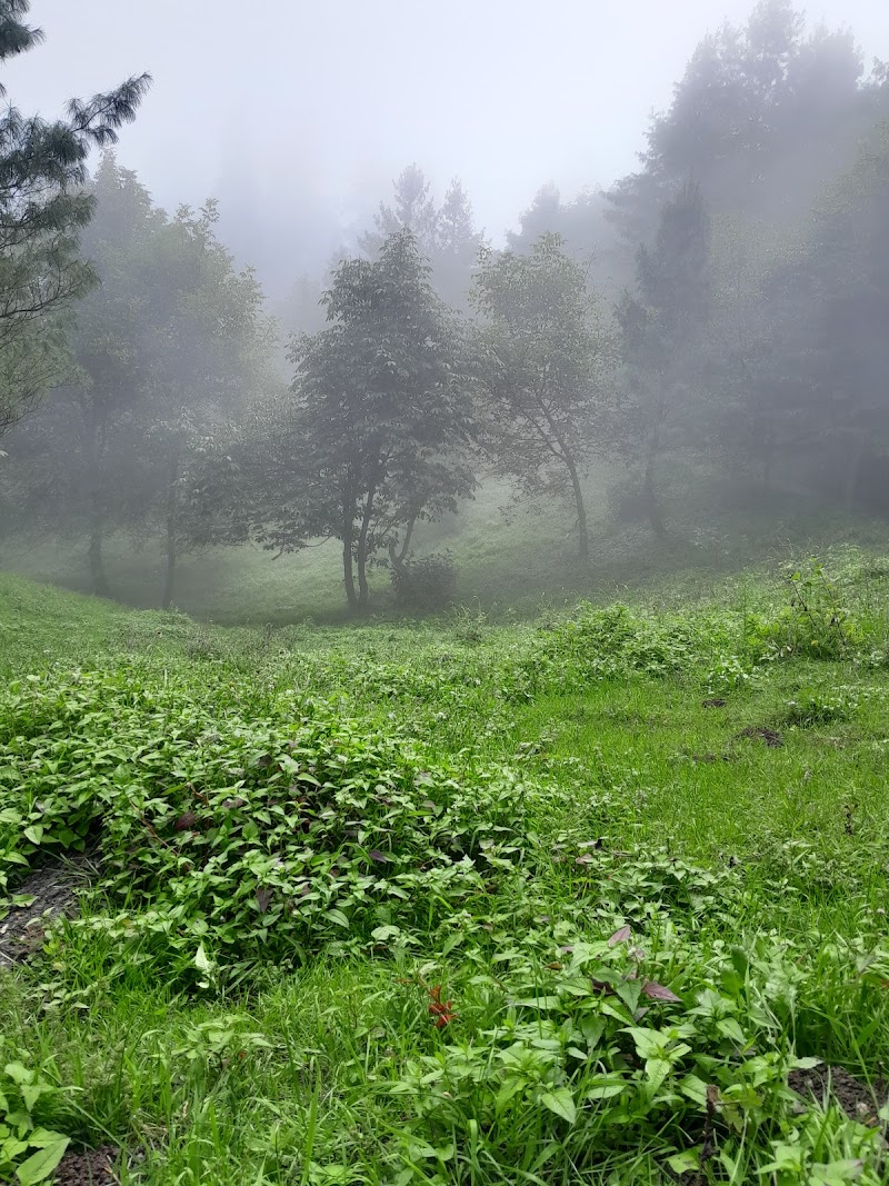Lalazar Park in Nathia Gali, Khyber Pakhtunkhwa