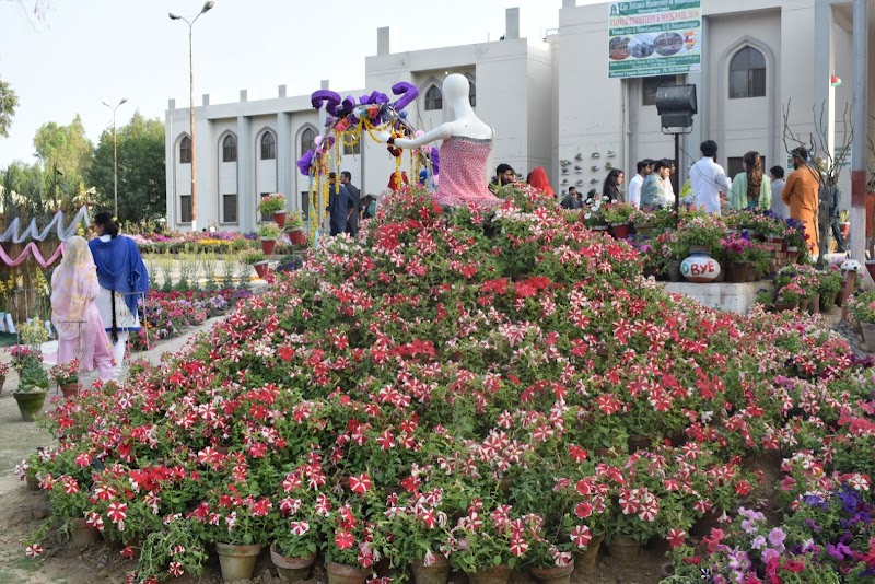 The Islamia University of Bahawalpur - IUB Bahawalnagar New campus in Bahawalnagar, Punjab